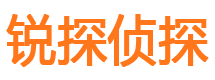 莱城调查事务所